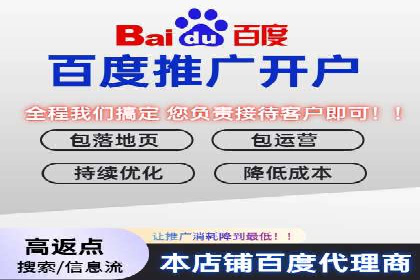案例对比：不同竞价广告平台的优劣